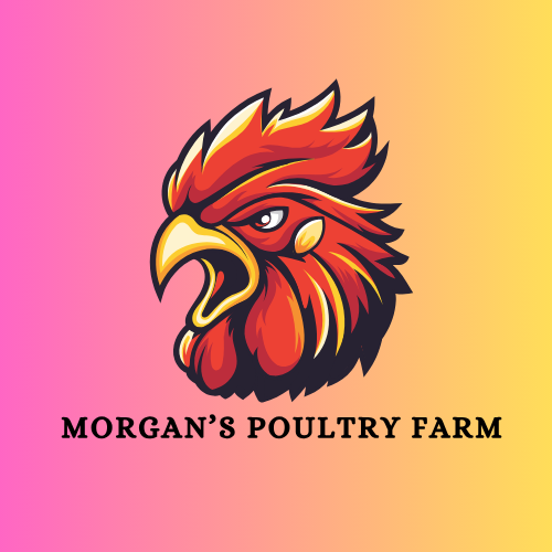 Morgans Poultry Farm