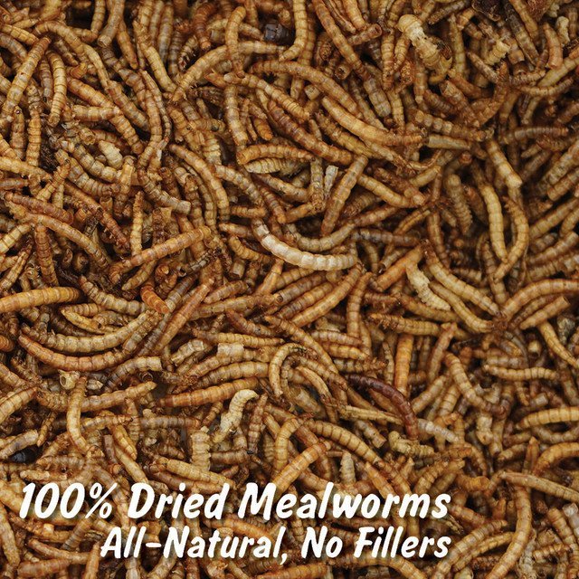 WONDER GRUBS (DRIED MEALWORMS) - 5 LB BAG