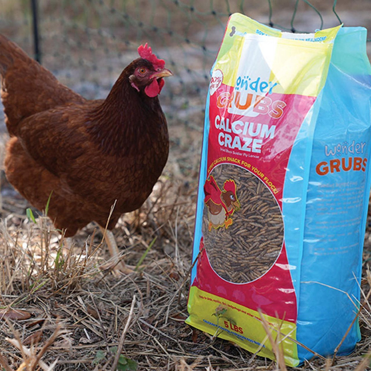 WONDER GRUBS BLACK SOLDIER FLY LARVAE
