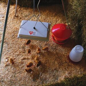 SWEETER HEATER BABY CHICK BROODER