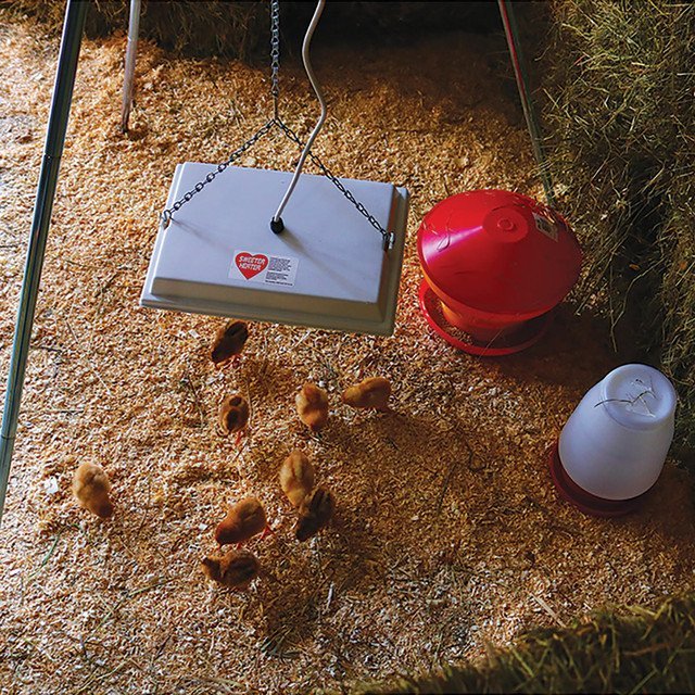 SWEETER HEATER BABY CHICK BROODER