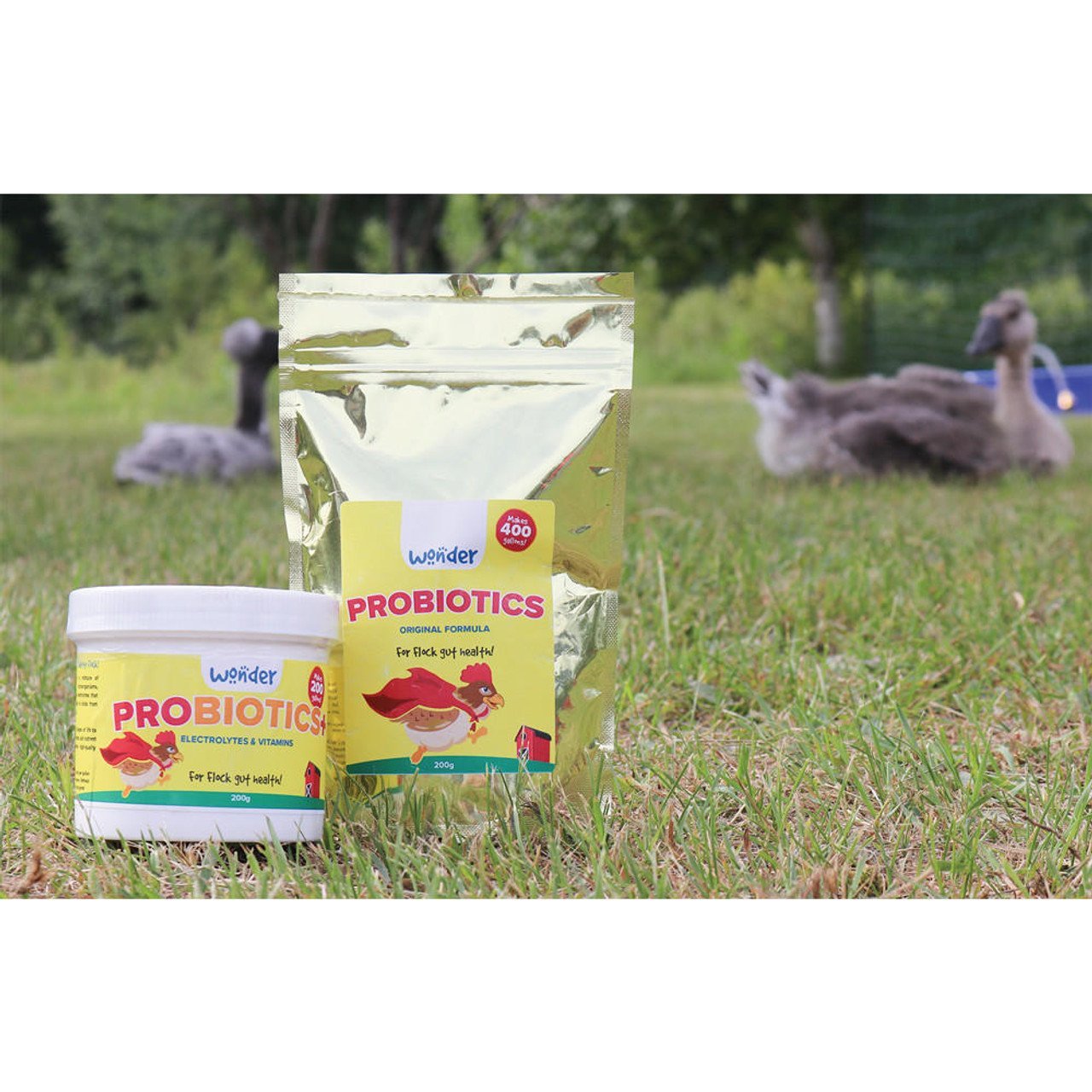 PROBIOTICS+ W/ ELECTROLYTES & VITAMINS - 200 G