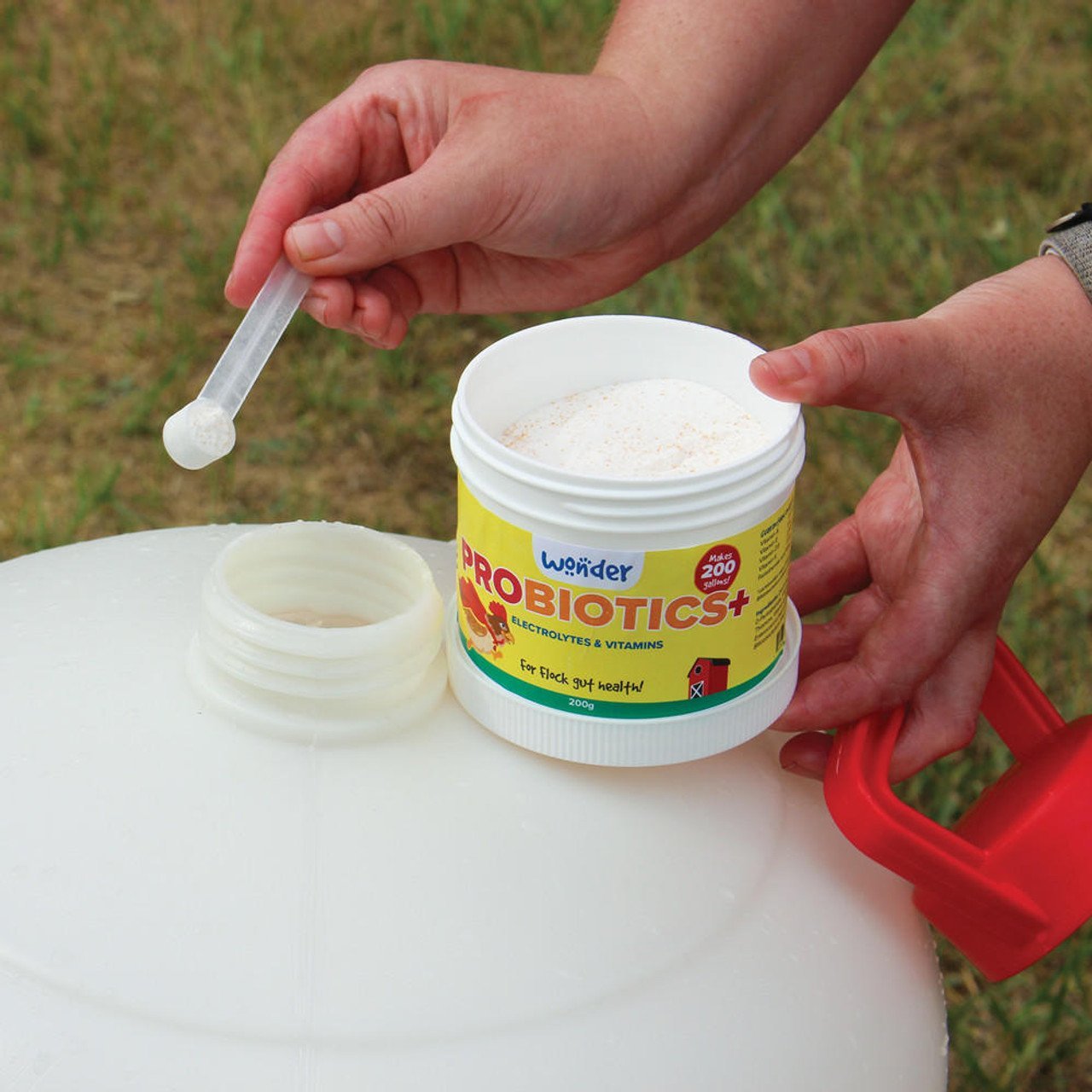 PROBIOTICS+ W/ ELECTROLYTES & VITAMINS - 200 G